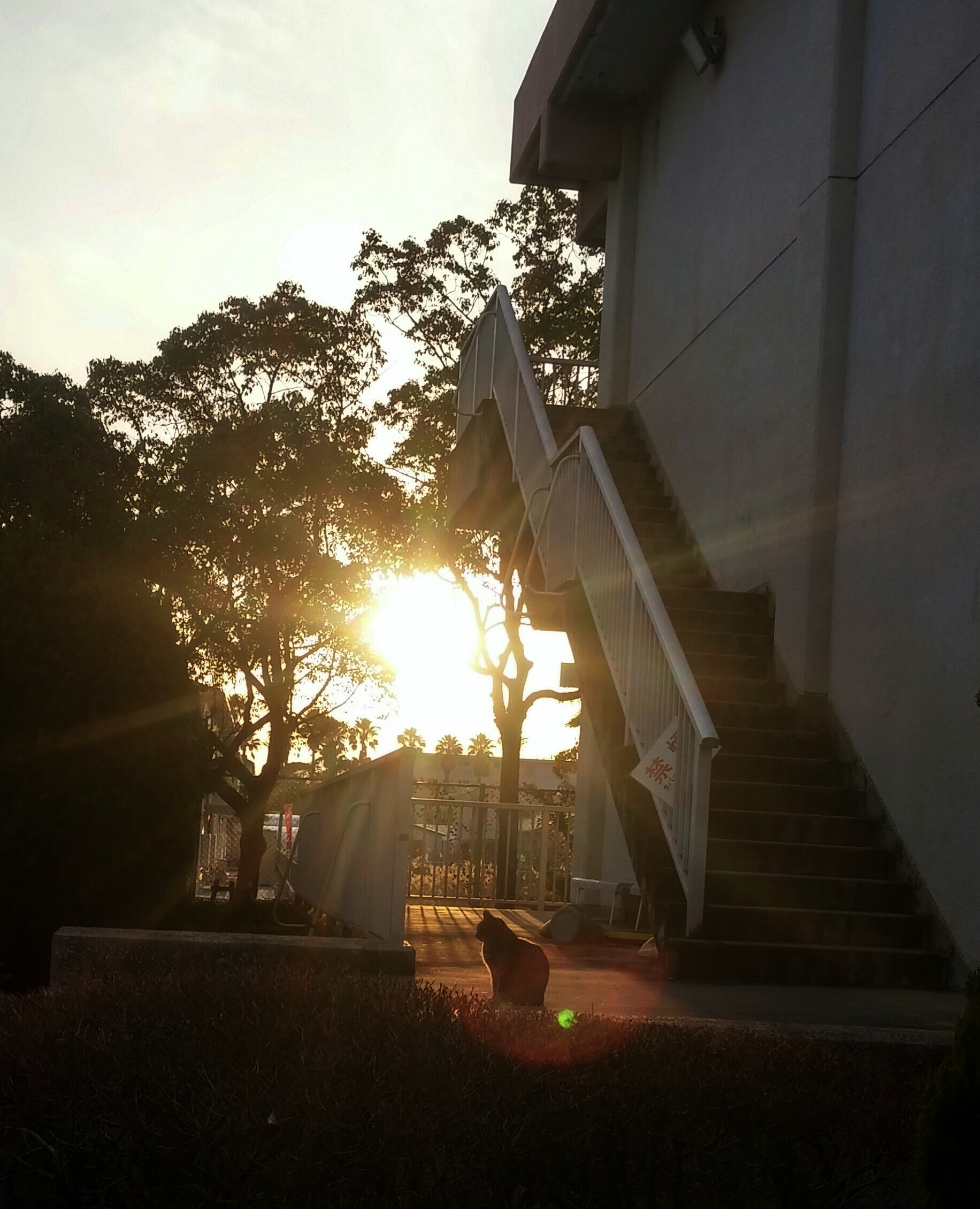 クリスマス　すべらない話